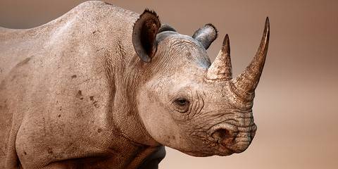 10-Day Namibia Popular Classic Self-Drive Safari