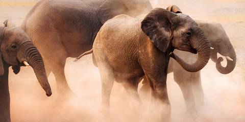 12-Day Classic Namibia Self-Drive Safari
