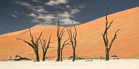 8-Day Namibia at a Glance Self-Drive