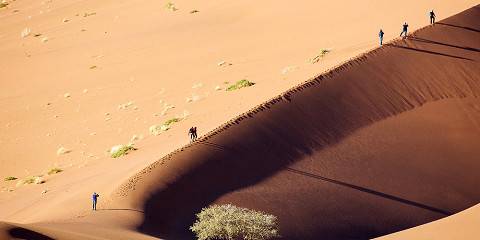 13-Day Highlights of Namibia Tour