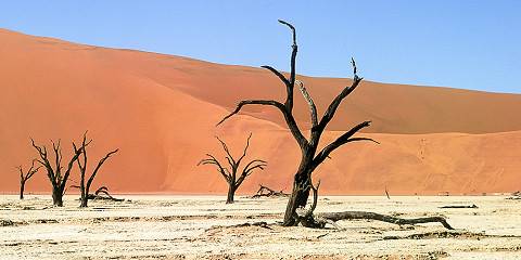 11-Day Namibia Highlights Self-Drive Safari
