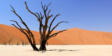 Cape Town, Aquila Safari & Sossusvlei Tour