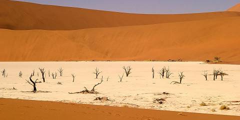 5-Day Namibia Safari- Etosha, Himba & Sossusvlei -Guided