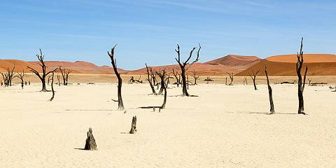 3-Day Namib Naukluft and Sossusvlei Adventure