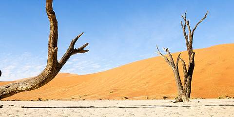 Mid-Range Scenic Tour of Namibia