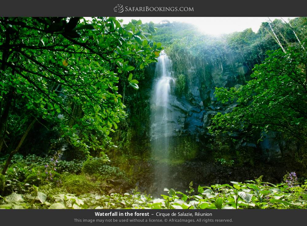 Waterfall in the forest at Cirque de Salazie in Cirque de Salazie, Réunion