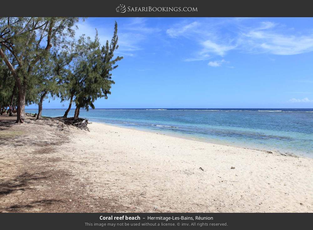 Coral reef beach at Hermitage-Les-Bains in Hermitage-Les-Bains, Réunion
