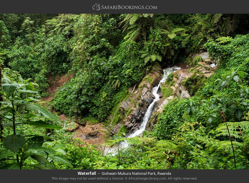 Waterfall in Gishwati-Mukura NP in Gishwati-Mukura National Park, Rwanda