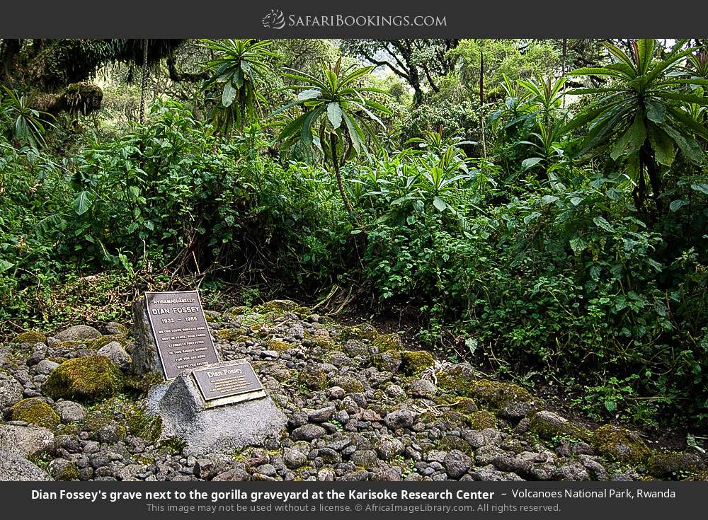 Dian Fossey's grave at the Karisoke Research Center in Volcanoes National Park, Rwanda