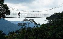 Nyungwe National Park