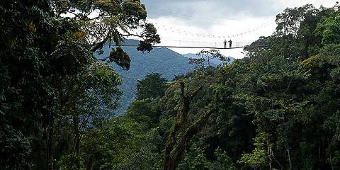 3-Day Rwanda Chimp Trekking Tour