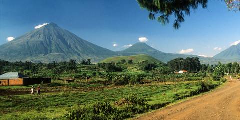3-Day Exclusive Gorilla Trekking Starting from Kigali
