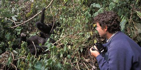 Rwanda Gorillas, Chimps and Golden Monkeys Safari