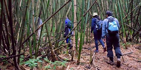 4-Day Rwanda – Uganda-Budget Adventure Beyond Borders