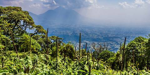 Mountain Bisoke Hike-Rwanda's Volcanic Majesty
