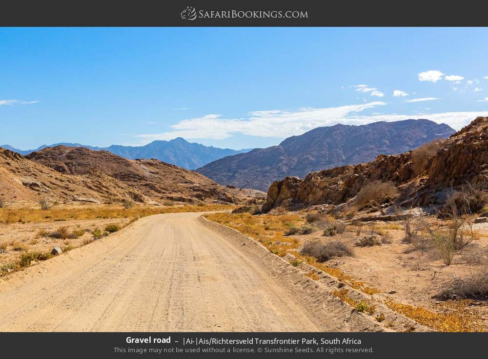 Road through rugged landscape in |Ai-|Ais/Richtersveld TP in |Ai-|Ais/Richtersveld Transfrontier Park, South Africa