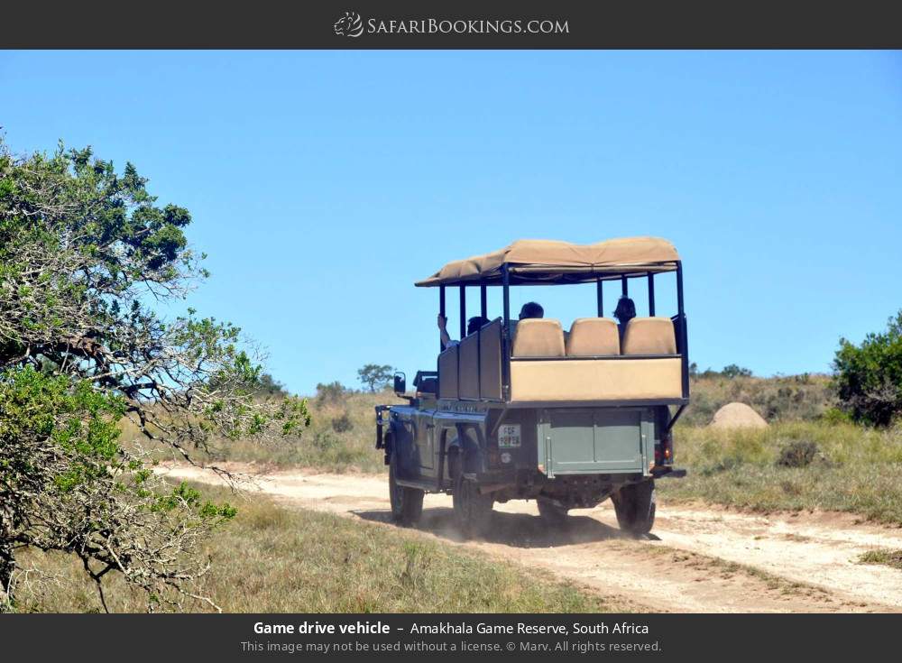 Game drive vehicle in Amakhala Game Reserve, South Africa