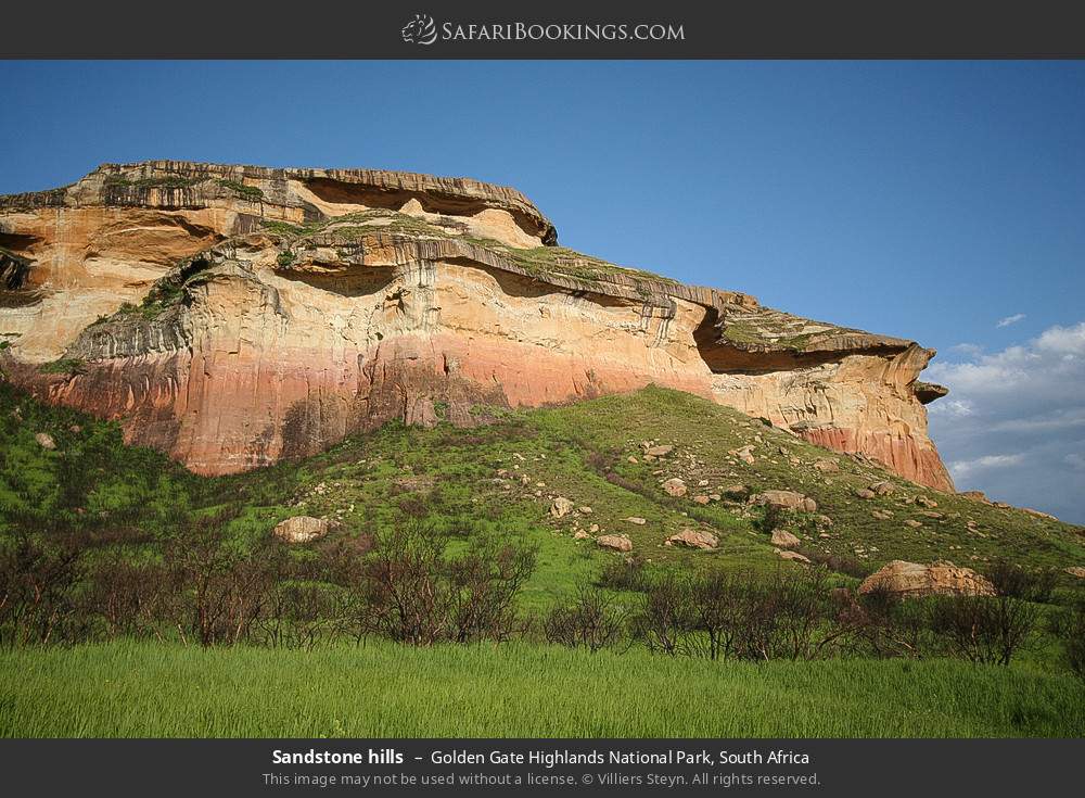 Sandstone hills in Golden Gate Highlands National Park, South Africa