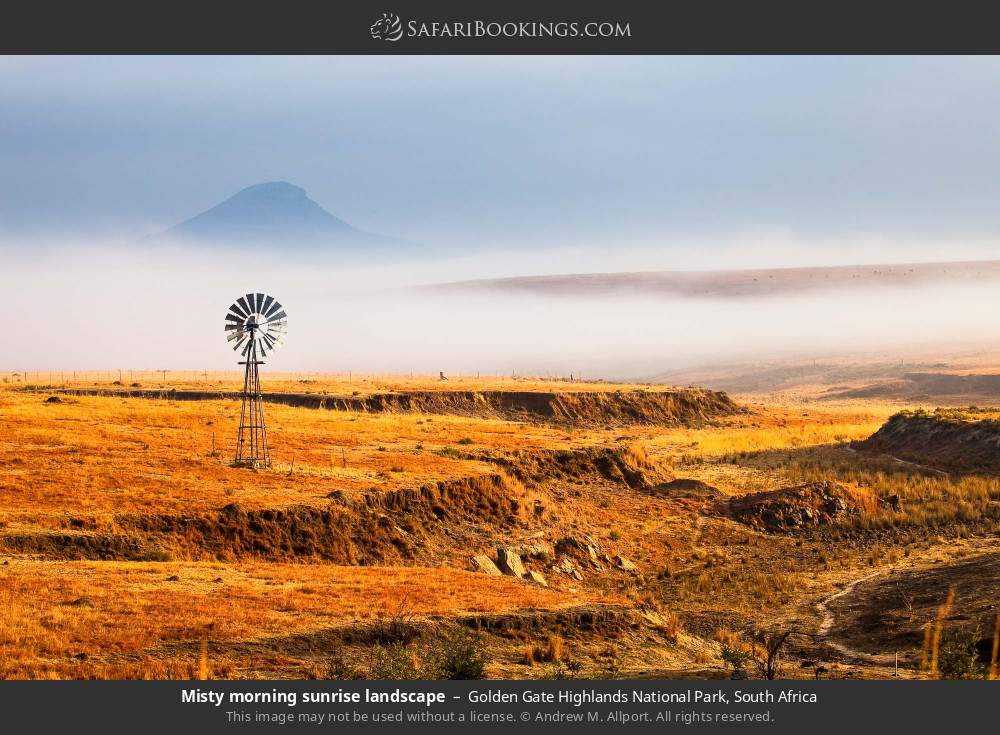 Misty morning landscape in Golden Gate Highlands NP in Golden Gate Highlands National Park, South Africa