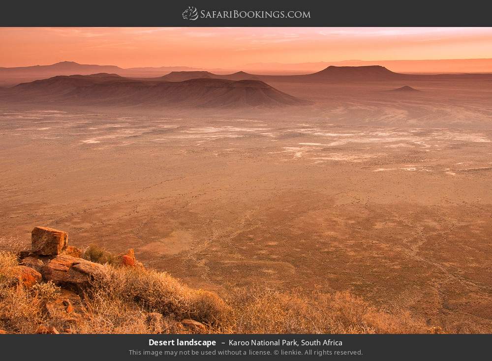 Desert landscape in Karoo National Park, South Africa