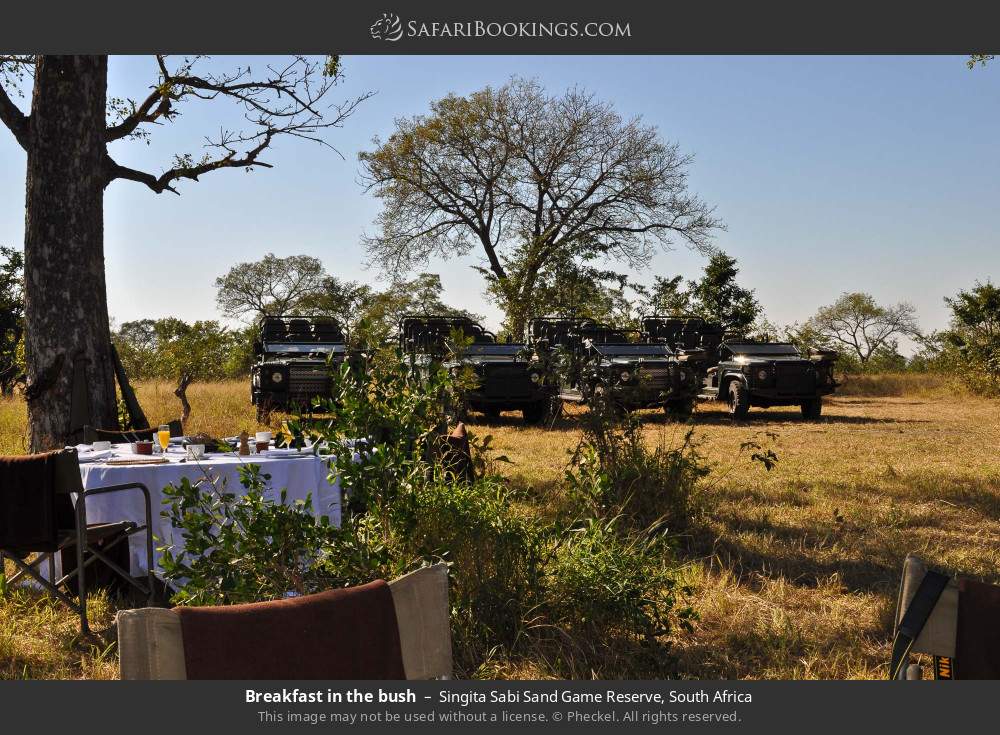 Breakfast in the bush in Singita Sabi Sand Game Reserve, South Africa