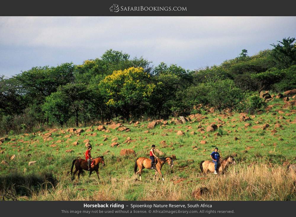 Horseback riding in Spioenkop Nature Reserve, South Africa