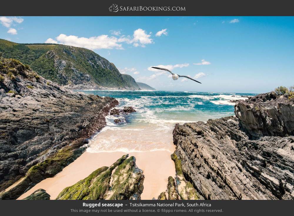 Rugged seascape along the Garden Route in Tsitsikamma National Park, South Africa
