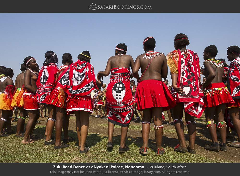 Zulu Reed Dance at eNyokeni Palace, Nongoma in Zululand, South Africa