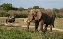 Umkumbe Private Game Reserve
