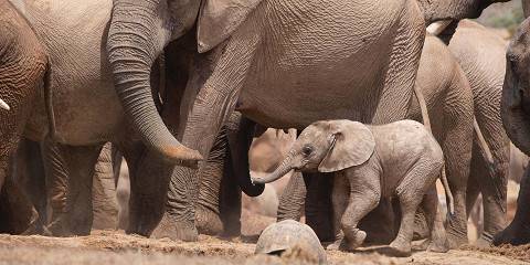 4-Day Ultimate Kruger Safari