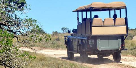Fully Customisable Private Kruger Safari