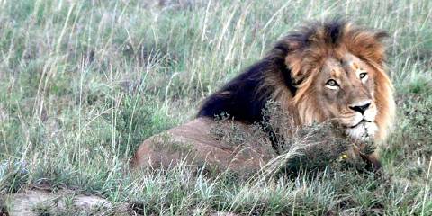 1-Day Trip to Tarangire National Park