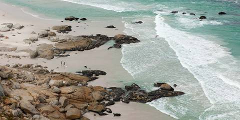 2-Day Cape Peninsula & Wine Country Tour