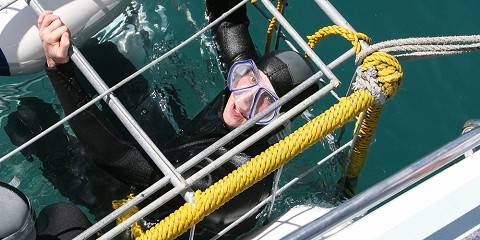10-Day Garden Route Adventure Tour