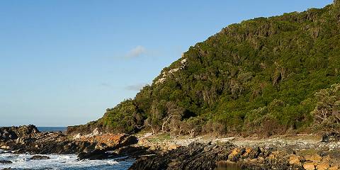 5-Day South Africa Garden Route & Addo Escape