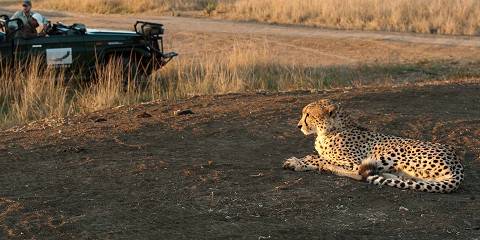 3-Day Sabi Sands Tented Safari