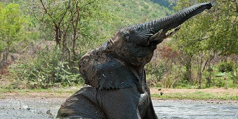 3-Day Pilanesberg Safari Adventure