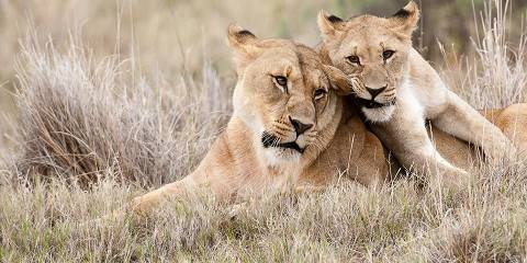 11-Day Affordable Sightseeing in South Africa