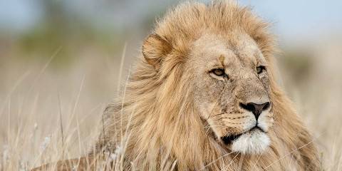 9-Day Signature South Africa Tour