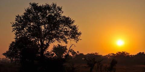 5-Day Safari with Night Drive and Panorama Route Tour