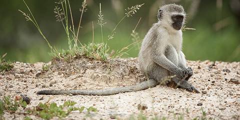 Journey Through Southern Africa