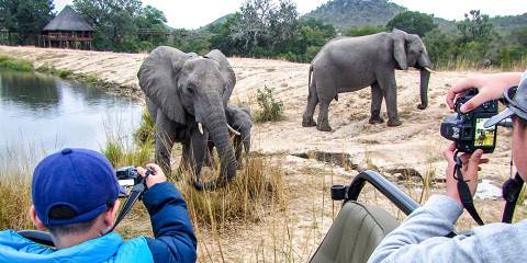 3-Day Kruger Park and Manyeleti Reserve Bongan Lodge