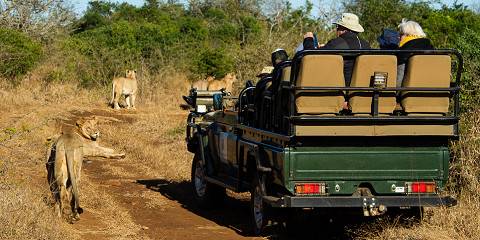 3-Day Kruger Safari from Johannesburg