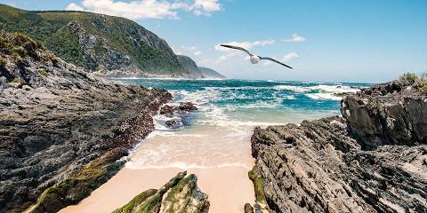 Garden Route Adventure