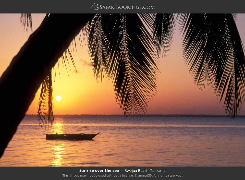Sunrise over the sea at Bwejuu in Bwejuu Beach, Tanzania