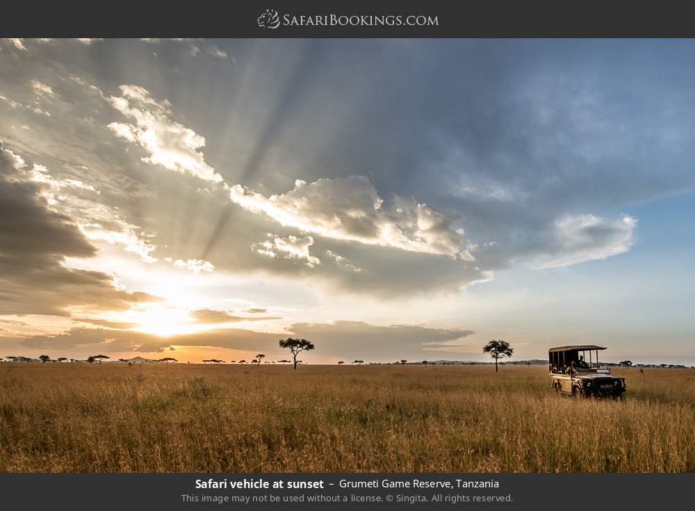 Safari vehicle at sunset in Grumeti Game Reserve, Tanzania