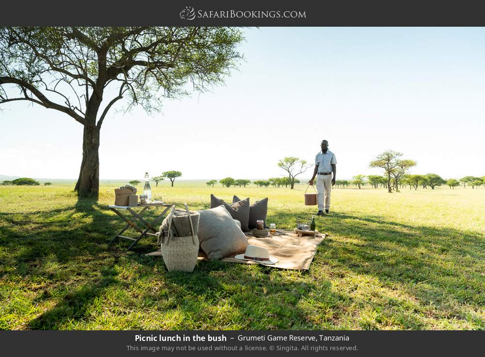 Picnic lunch in the bush in Grumeti Game Reserve, Tanzania
