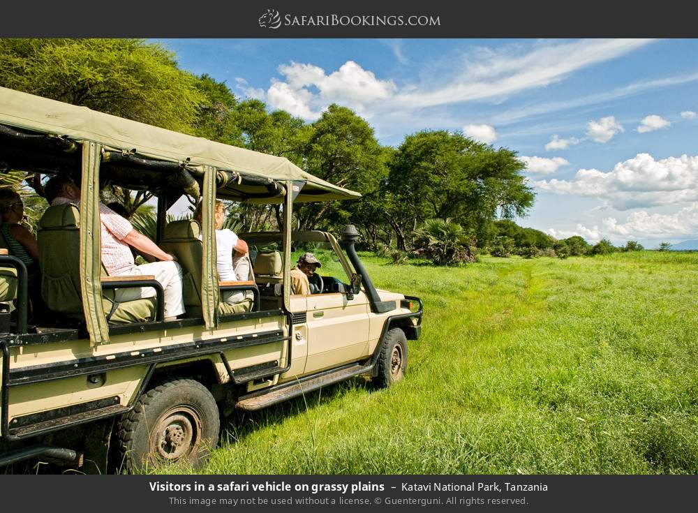 Safari vehicle on the grassy plains in Katavi National Park, Tanzania