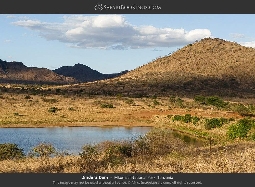 Dindira Dam in Mkomazi National Park, Tanzania