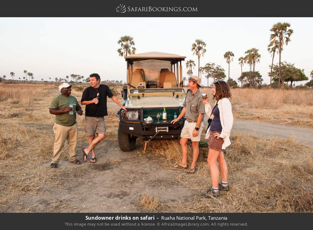 Sundowner drinks on safari in Ruaha National Park, Tanzania